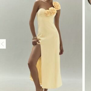 The Wolf Gang yellow 3d floral dress - size L